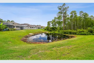 4215 Tatum Loop, Odessa, FL 33556 - Photo 44
