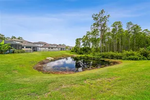 4215 Tatum Loop, Odessa, FL 33556 - Photo 44