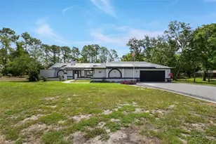 2044 Tunisia Ave, Spring Hill, FL 34609 - Photo 70