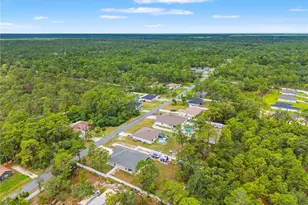 11153 Wood Owl Ave, Weeki Wachee, FL 34614 - Photo 6