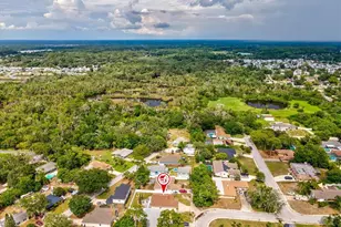 6247 High St, New Port Richey, FL 34653 - Photo 34