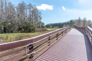 10121 Porch St, New Port Richey, FL 34655 - Photo 56