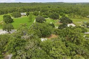 14335 Snow Memorial Hwy, Brooksville, FL 34601 - Photo 58