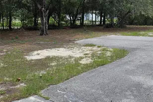17839 Monteverde Dr, Spring Hill, FL 34610 - Photo 24