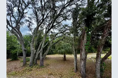 34336 Arbor Street, Dade City, FL 33523 - Photo 26
