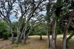 34336 Arbor St, Dade City, FL 33523 - Photo 26