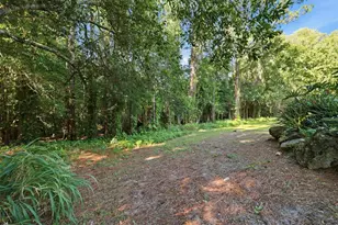 9116 Lakeview Dr, New Port Richey, FL 34654 - Photo 50