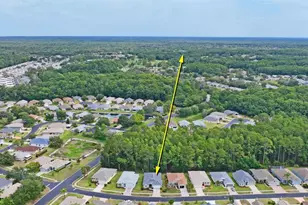11413 Bloomington Ct, New Port Richey, FL 34654 - Photo 50