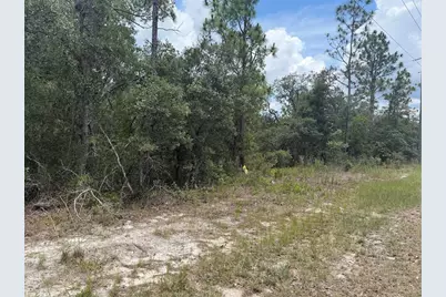 6215 S Premiere Avenue, Homosassa, FL 34446 - Photo 1