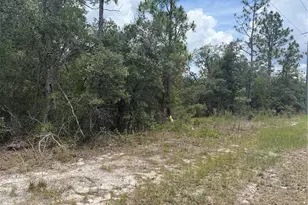 6215 S Premiere Ave, Homosassa, FL 34446 - Photo 1