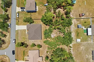 12155 Peregrine Falcon Ave, Weeki Wachee, FL 34614 - Photo 24