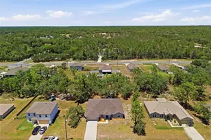12155 Peregrine Falcon Ave, Weeki Wachee, FL 34614 - Photo 2