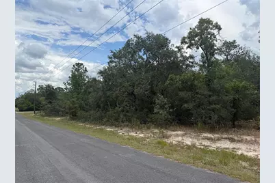 6215 S Premiere Avenue, Homosassa, FL 34446 - Photo 4