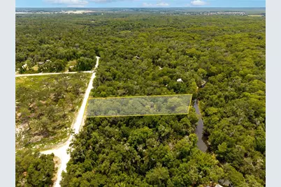 7353 Riverview Drive, Ridge Manor Estates, FL 33597 - Photo 4