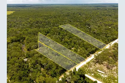 7337 Riverview Drive, Ridge Manor Estates, FL 33597 - Photo 2