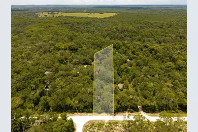 7337 Riverview Drive, Ridge Manor Estates, FL 33597 - Photo 1