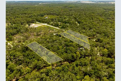 7337 Riverview Drive, Ridge Manor Estates, FL 33597 - Photo 6