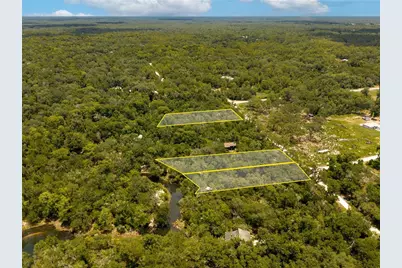 7333 Riverview Drive, Ridge Manor Estates, FL 33597 - Photo 4