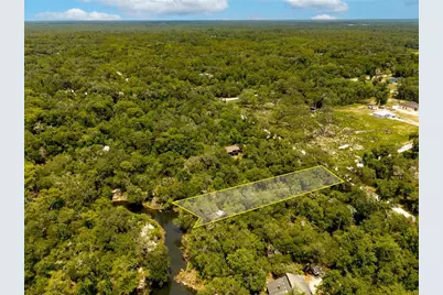 7333 Riverview Drive, Ridge Manor Estates, FL 33597 - Photo 6