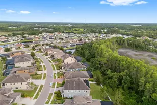 19520 Hayden Lake Ct, Land O Lakes, FL 34638 - Photo 96