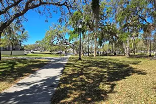 5904 Elm St, New Port Richey, FL 34652 - Photo 28