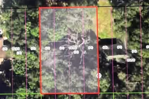3404 E Murray St, Inverness, FL 34453 - Photo 1