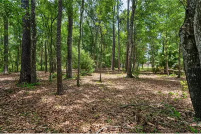 1022 S Mildred Avenue, Brooksville, FL 34601 - Photo 54