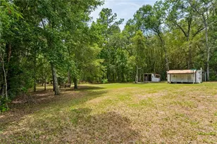 1022 S Mildred Ave, Brooksville, FL 34601 - Photo 50