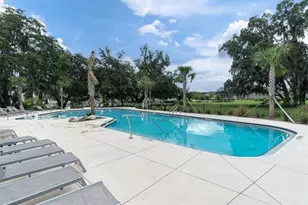 11967 Gavin Ln, Odessa, FL 33556 - Photo 60