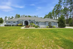 4743 Jumper Loop, Spring Hill, FL 34609 - Photo 2