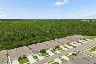 18307 Turning Leaf Cir, Land O Lakes, FL 34638 - Photo 26