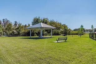18307 Turning Leaf Cir, Land O Lakes, FL 34638 - Photo 36