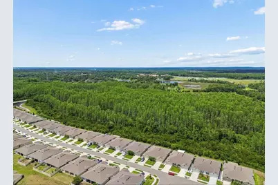 18307 Turning Leaf Circle, Land O Lakes, FL 34638 - Photo 28