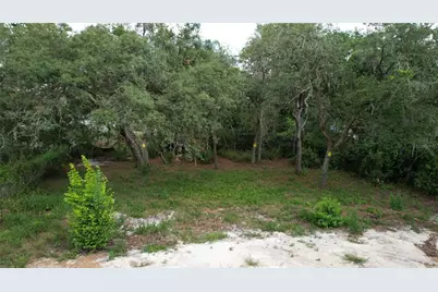 11406 Polo Street, New Port Richey, FL 34654 - Photo 4