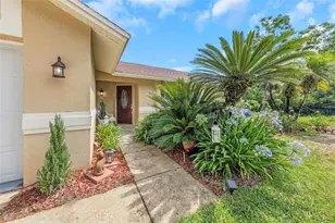 2437 Hawk Ave, Palm Harbor, FL 34683 - Photo 2