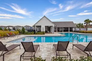 3275 Tour Trce, Land O Lakes, FL 34638 - Photo 56