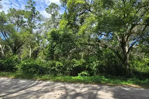 15621 Daybreeze Dr, Spring Hill, FL 34610 - Photo 1