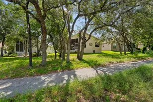 363 Quane Ave, Spring Hill, FL 34609 - Photo 46