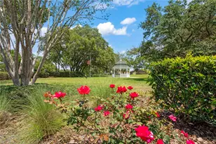 363 Quane Ave, Spring Hill, FL 34609 - Photo 66