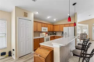 363 Quane Ave, Spring Hill, FL 34609 - Photo 14