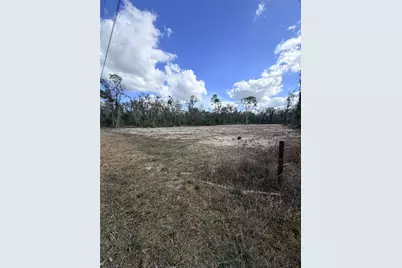 163 NE 159th Avenue, Old Town, FL 32680 - Photo 2