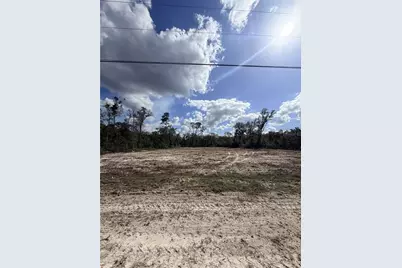 163 NE 159th Avenue, Old Town, FL 32680 - Photo 8