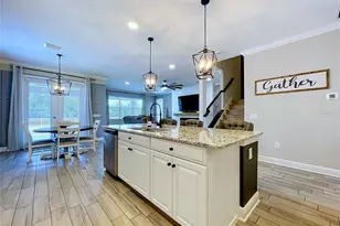 12093 Nouveau Ave, Spring Hill, FL 34610 - Photo 20