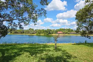 4293 River Birch Dr, Spring Hill, FL 34607 - Photo 62