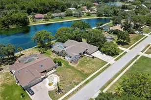 4293 River Birch Dr, Spring Hill, FL 34607 - Photo 78