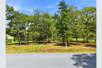 1228 Staten Avenue, Spring Hill, FL 34609 - Photo 4