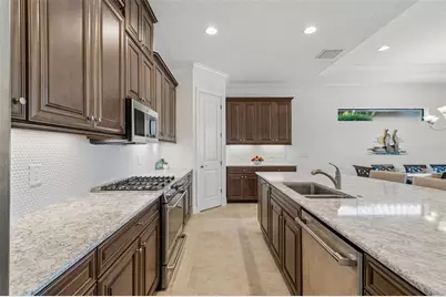 11749 Bitola Drive, Odessa, FL 33556 - Photo 24