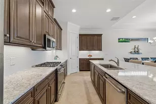 11749 Bitola Dr, Odessa, FL 33556 - Photo 24