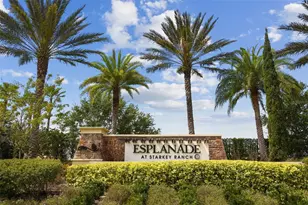 11749 Bitola Dr, Odessa, FL 33556 - Photo 2