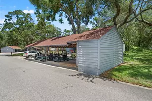 6410 Nature Preserve Ln, Spring Hill, FL 34606 - Photo 34